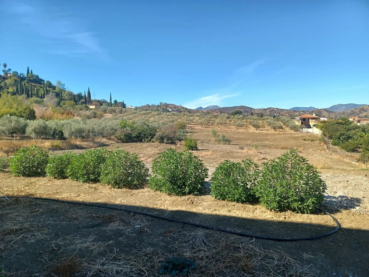 bf6d5b29-ab7a-4baf-a8ef-59531275a1cf