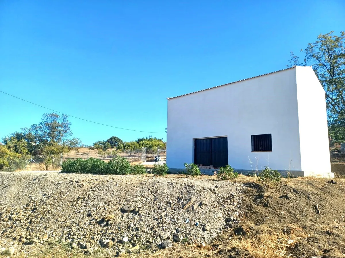 e01d057a-f029-4637-870d-74801380bdf2