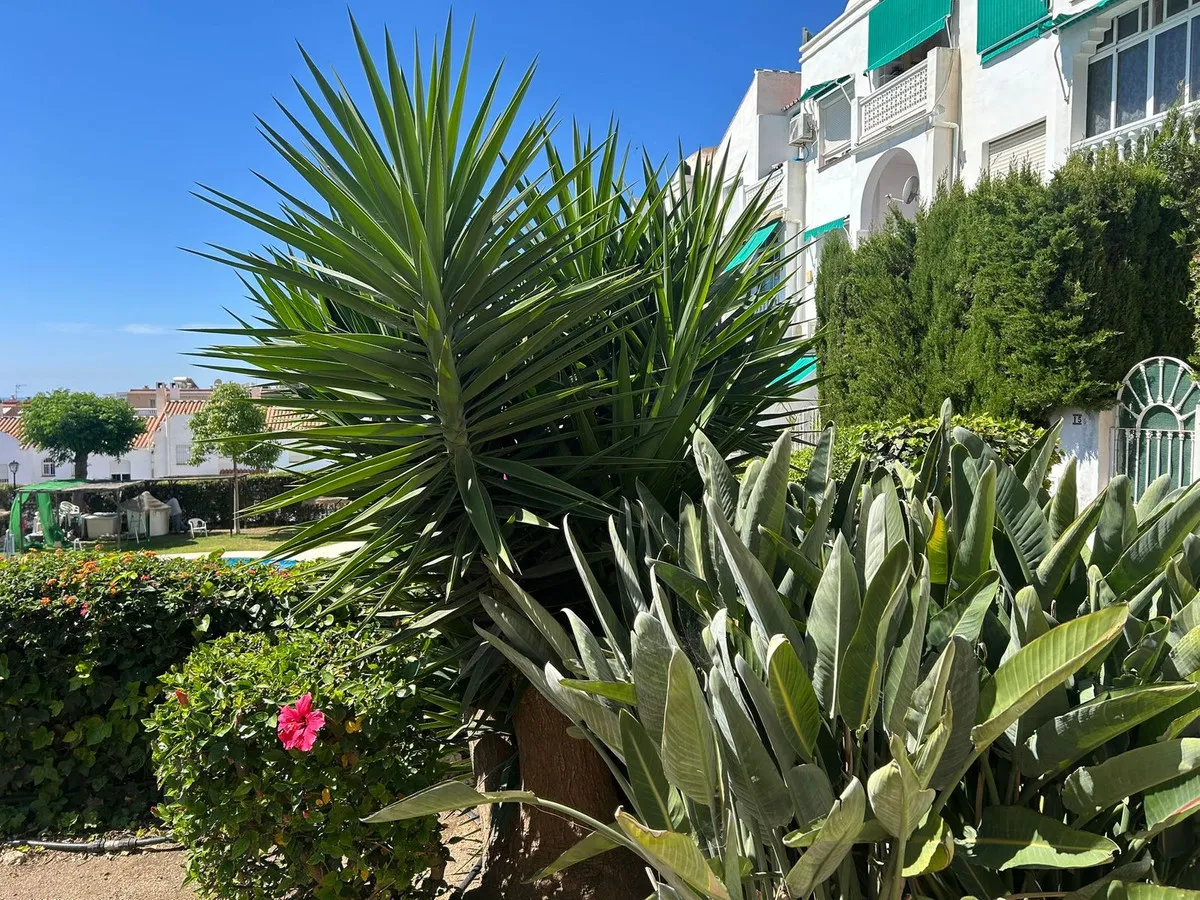 e975cdda-b4a2-4009-b056-2754daaba71c