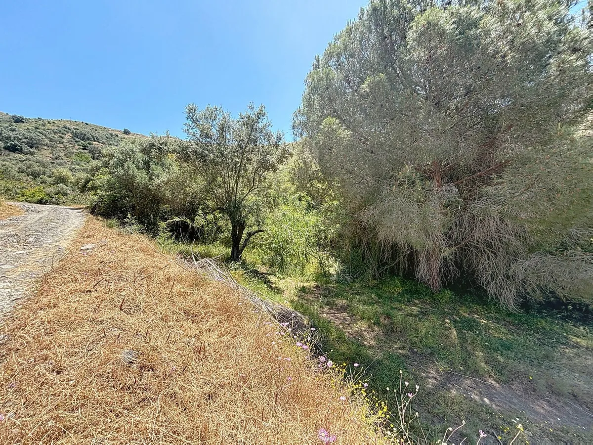 0ee80f3d-2cc8-41b4-8f87-1c61574d19cd