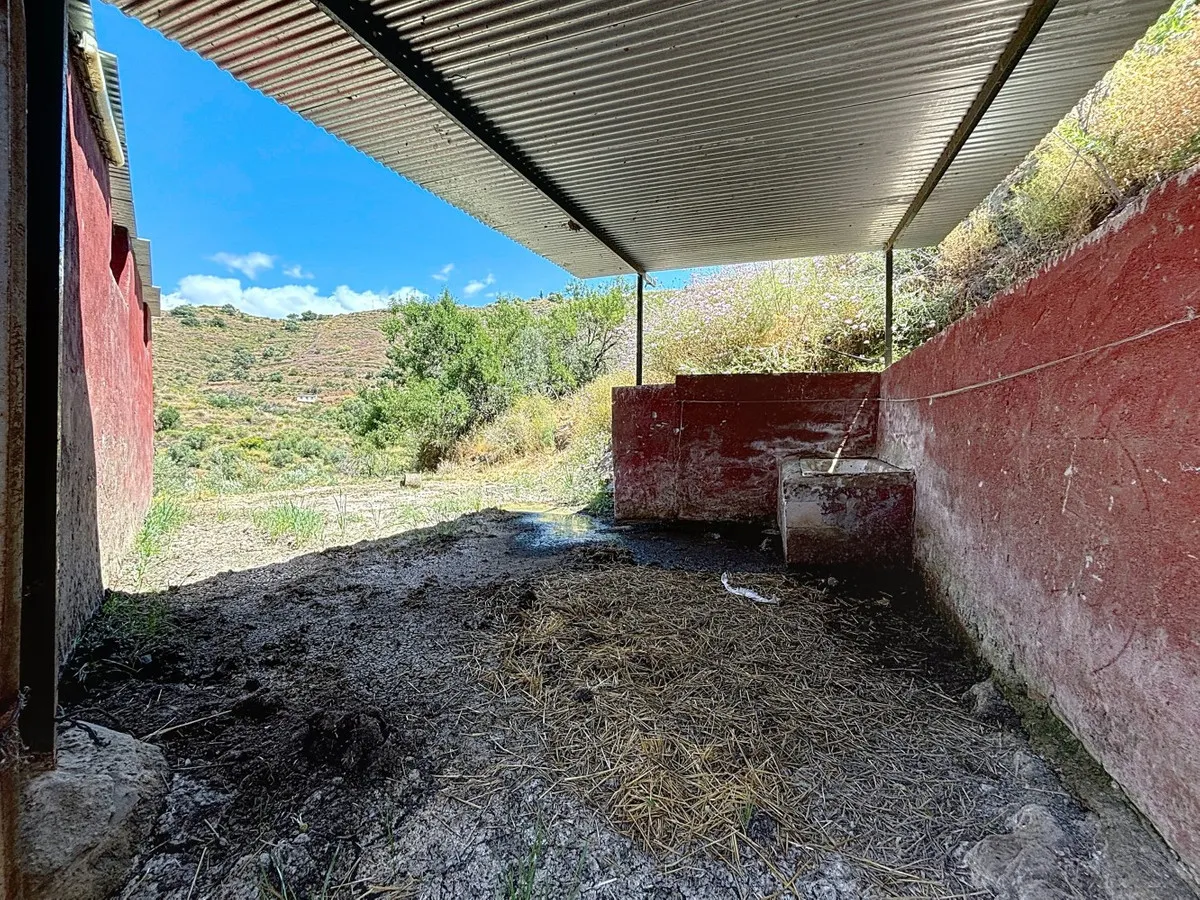 54515b0b-7067-4dfe-8272-753ed0b3415c