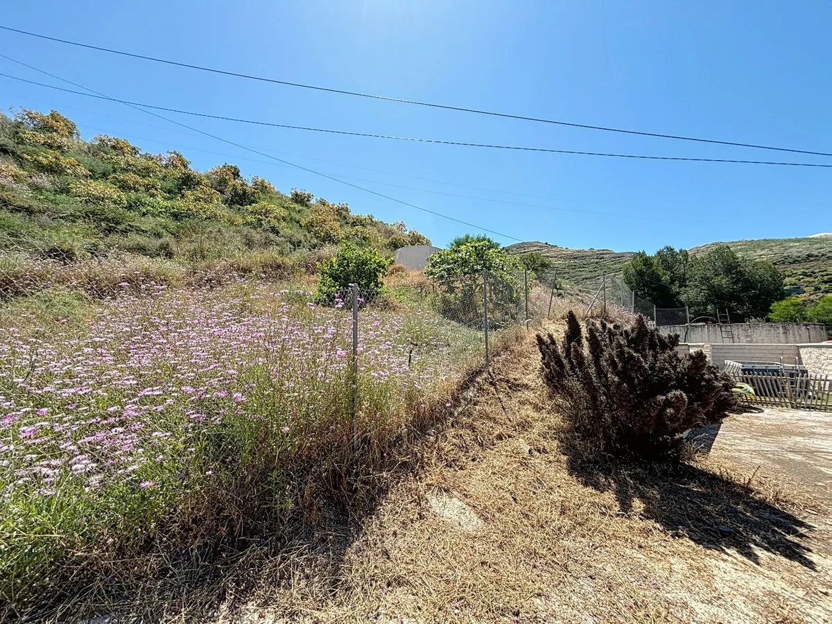 9e15bc98-bbb8-48ff-ab6c-33af2a806196