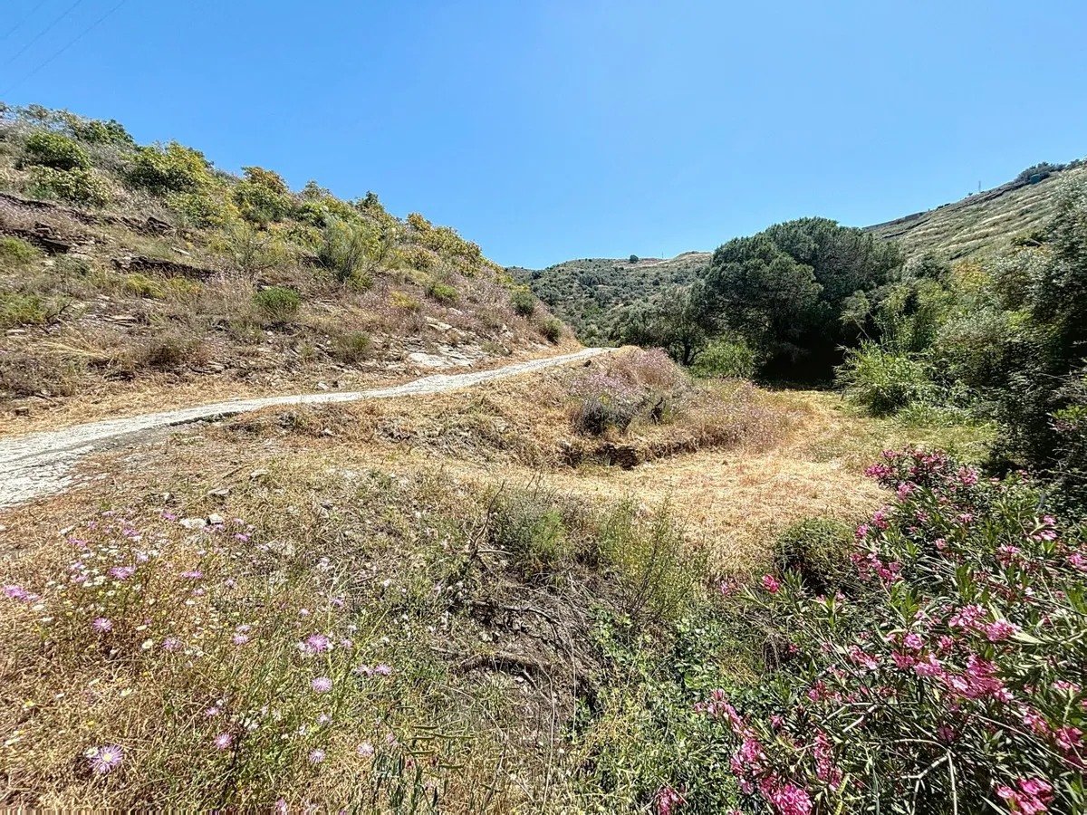 b2d286c1-cbbe-4397-8ede-87951d142a8a