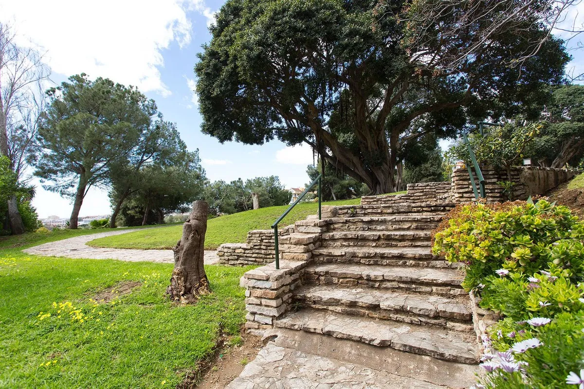 264e8c17-7a57-4a1e-91e2-25db4c41ea4e