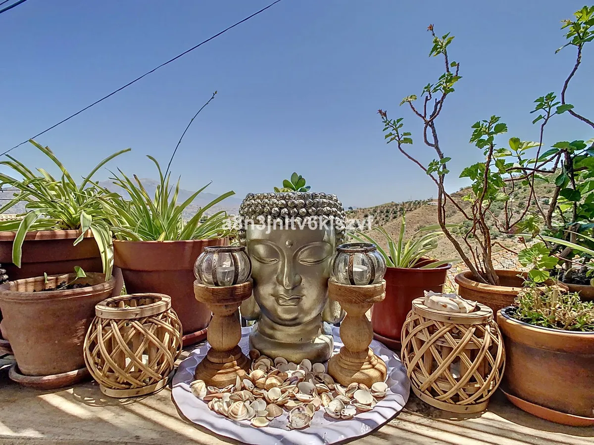 102f916c-2d71-4986-b890-8c39aa45ee0c