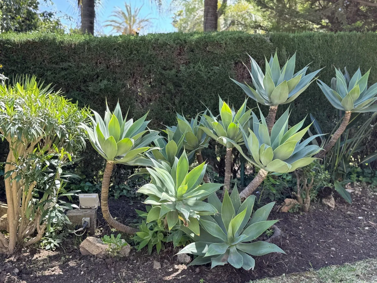 3c4892a6-bae8-4019-9e19-3945b5270bbf