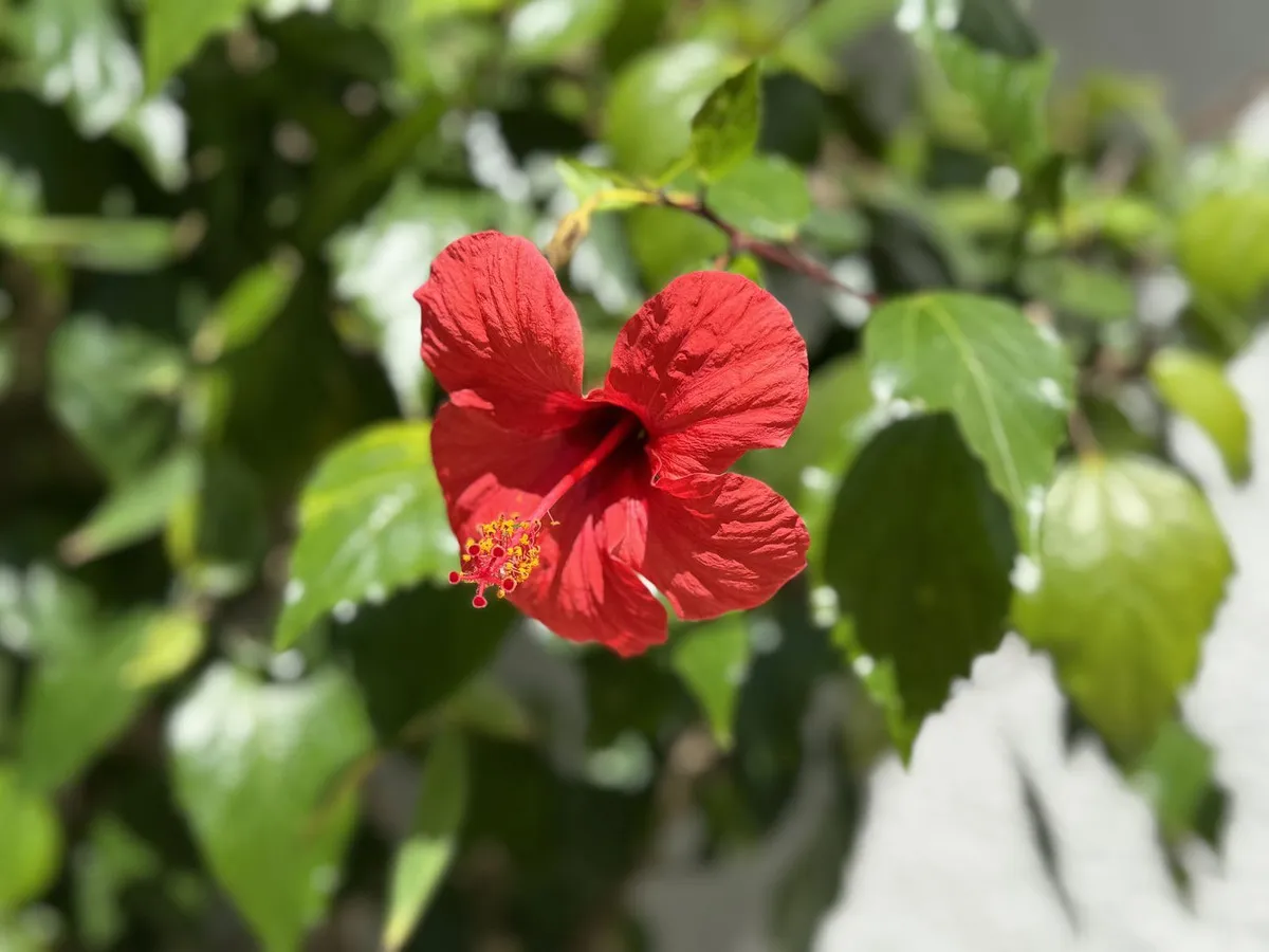 520bf1bc-a649-4d1c-92c8-ed2103ac8de3