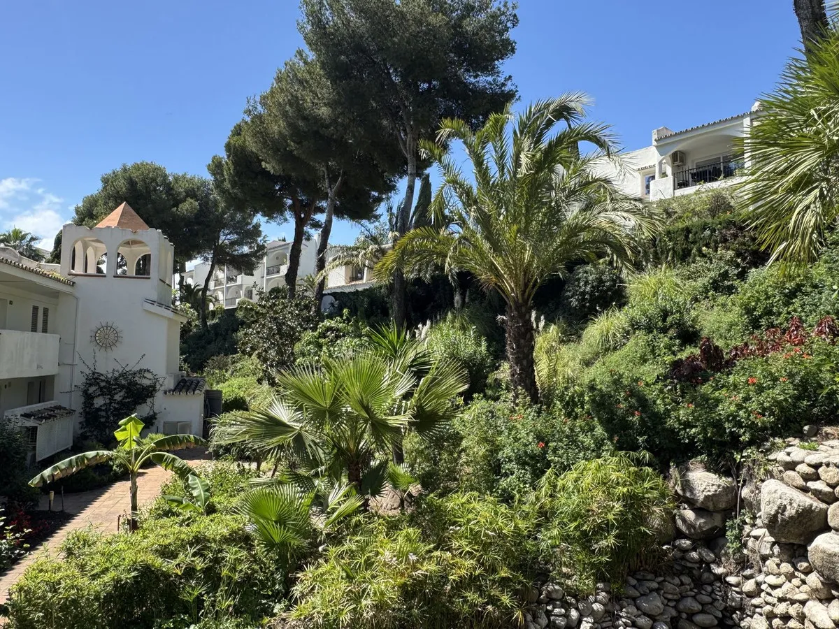 ff346818-ba13-4218-b633-a4fe7fad413f