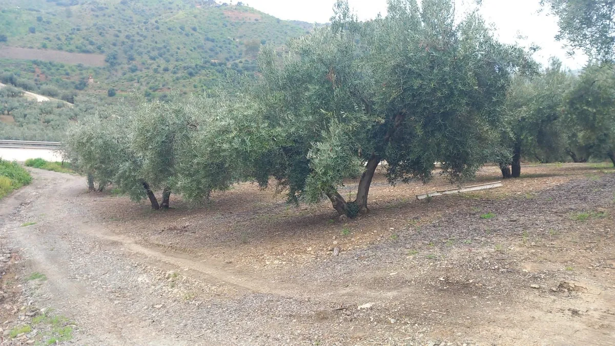 ef3fdcab-9723-444f-bb60-a8de2d361981