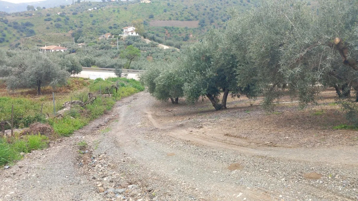 f0fcb1bc-a00e-4f90-afe5-f5b21f0135b0