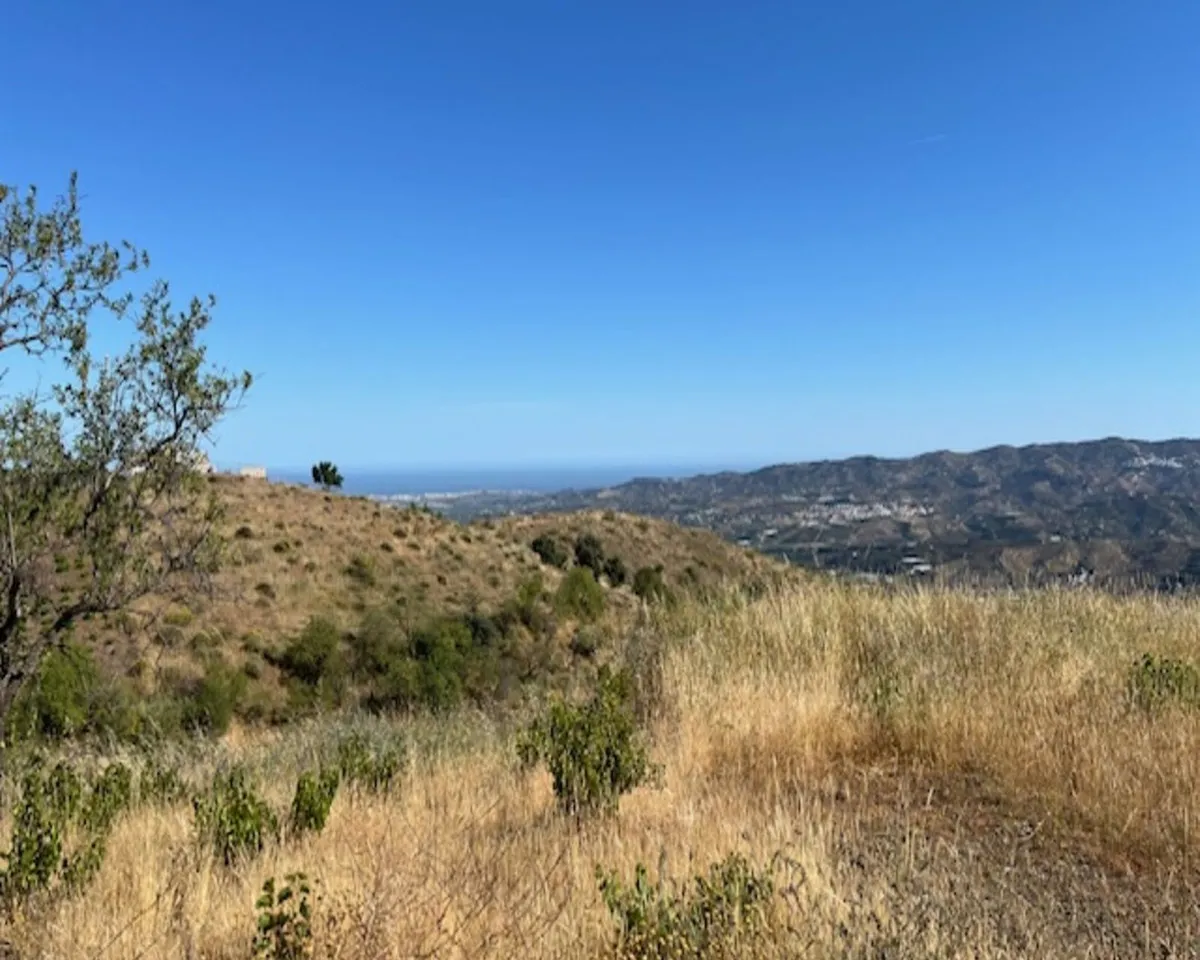 37ca24b8-44e4-4f20-970e-f3e5006cd9bf