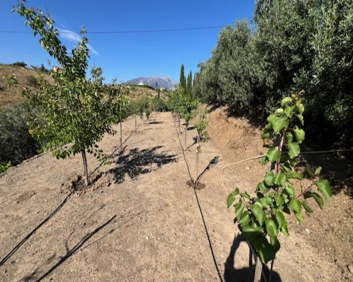 860899e2-482d-4ebf-be02-e06c397e9dc8