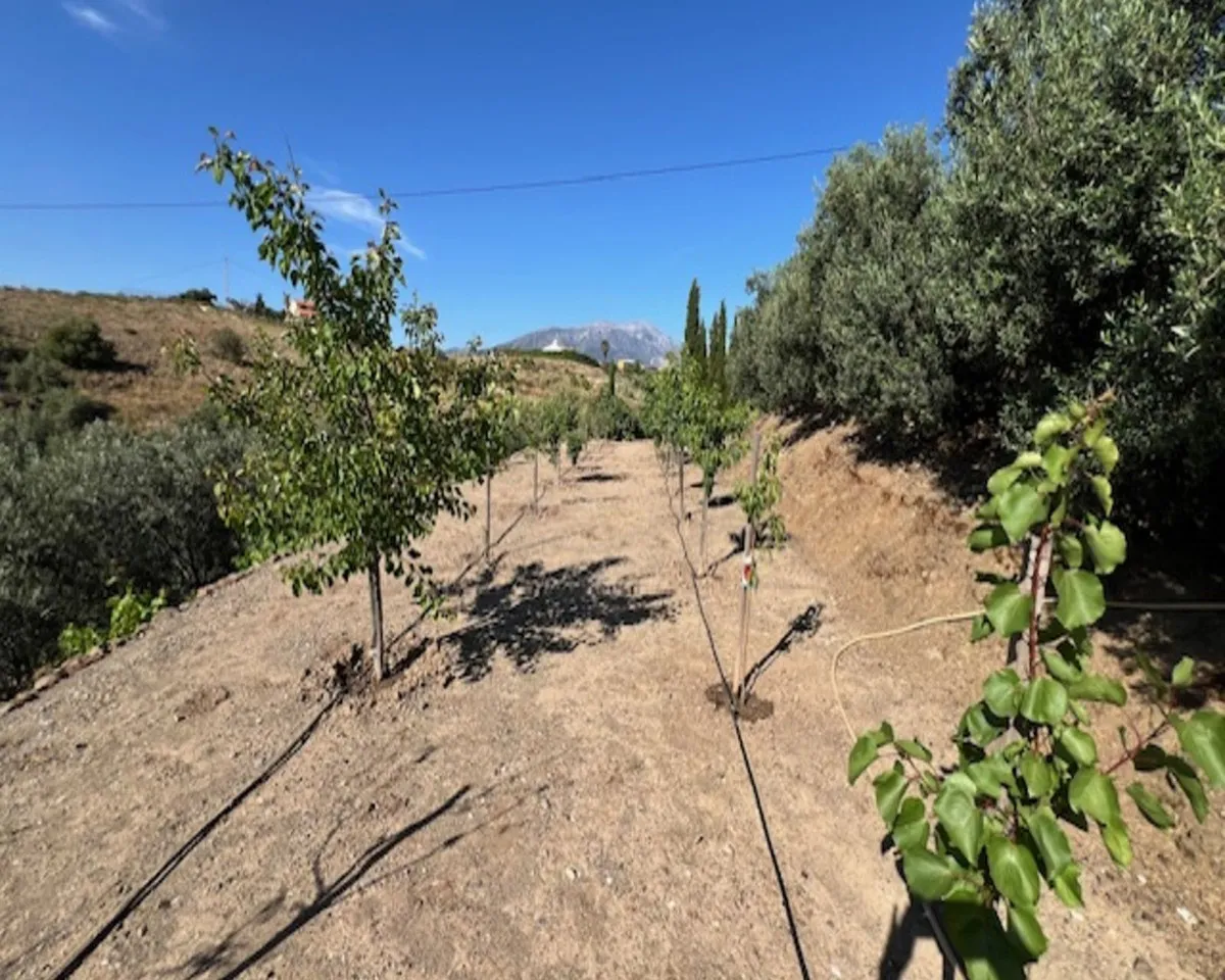 b61bd9ab-eb09-496e-aa19-8f5591f24937