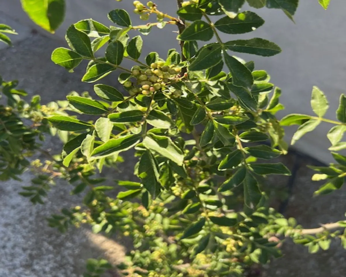 eda60909-4722-4763-8e43-3e6266de98f5