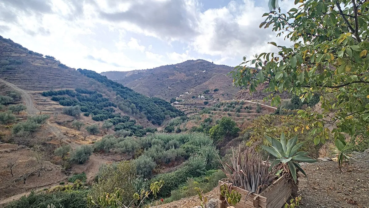 e055c566-088b-4932-84a4-4a25ba489d6d