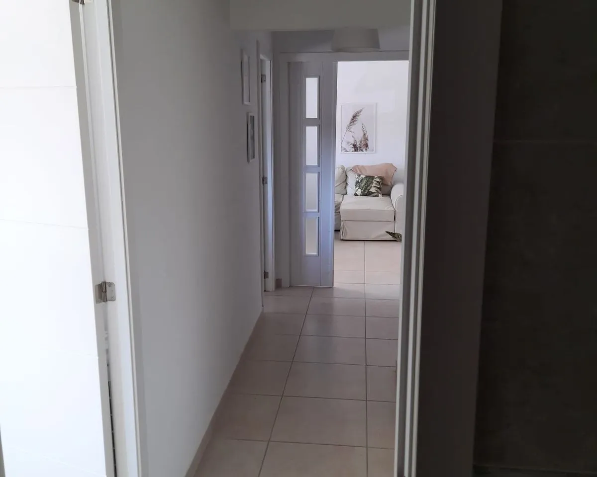 d1369855-2364-4d24-9e0c-a894c4e38579