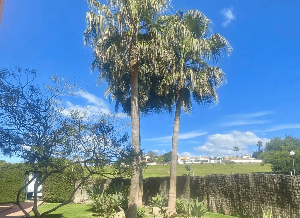 2c4cb9ca-bd35-4240-9f9c-4c72de69565c