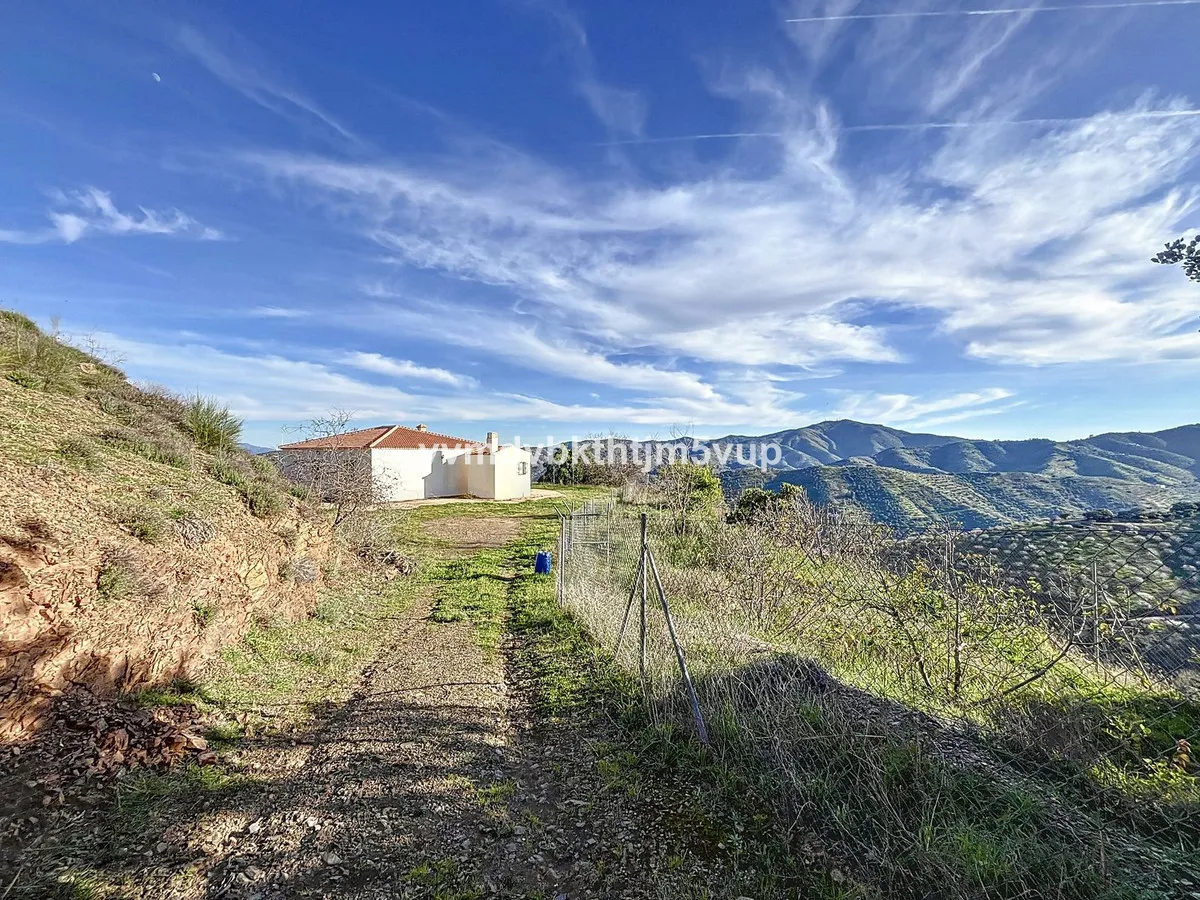 0316e0f3-efb2-4991-80c9-5129fb9403dc