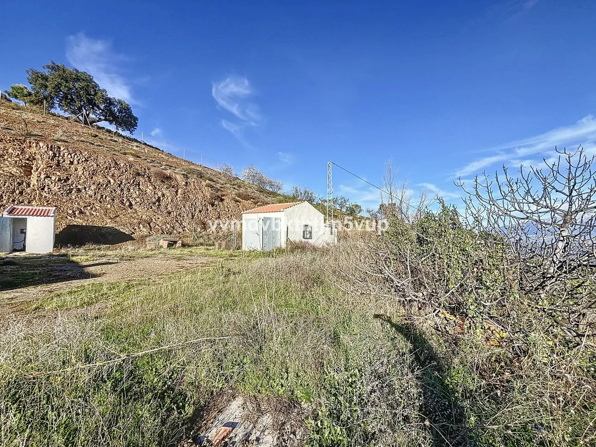 19496a39-8bff-44ab-8f44-a172536b24b6