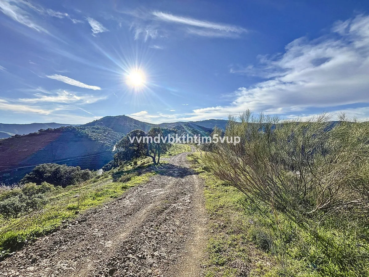 1a3775f8-00c0-4320-97a5-62bc6c16371b