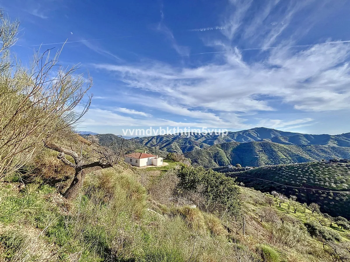 2de206dd-1838-419b-a805-fdcb7652deed