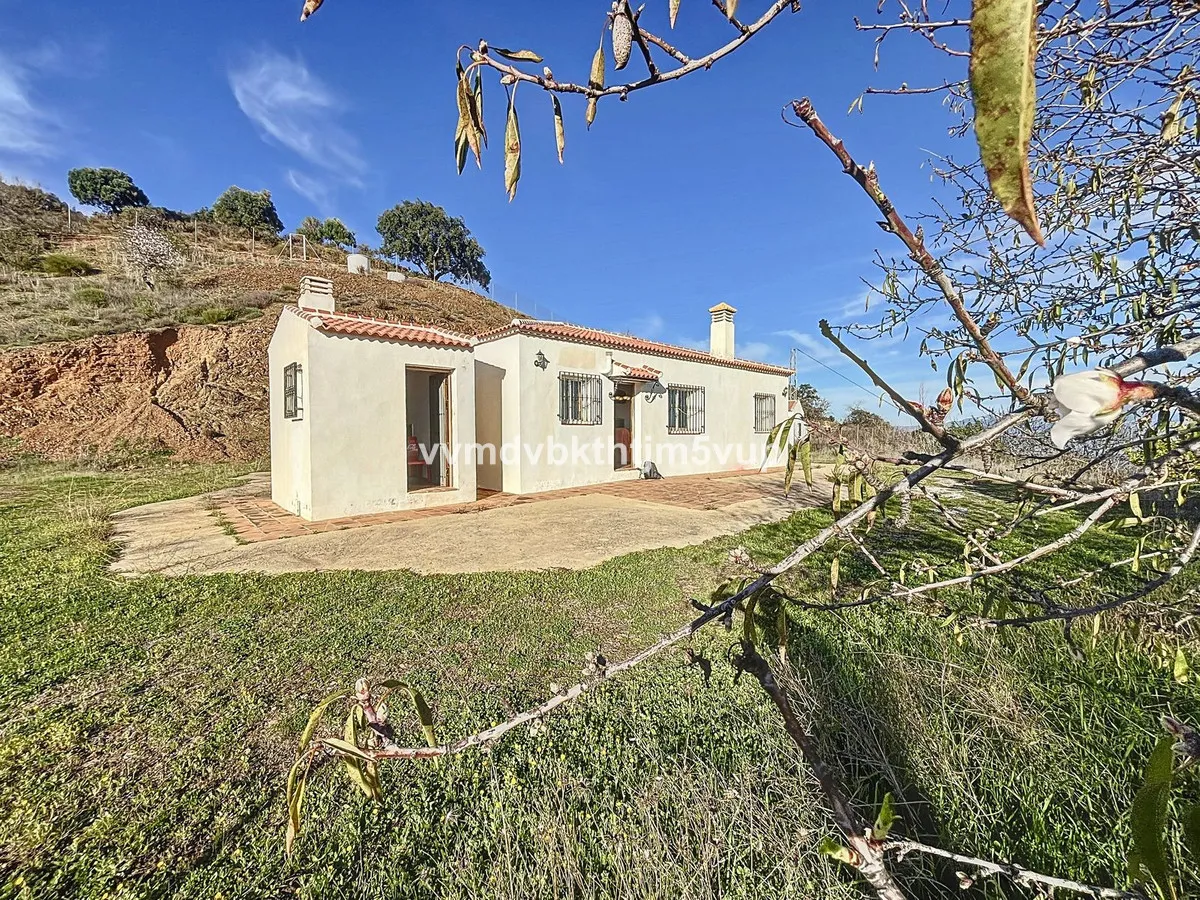 3974847d-13b5-4805-a436-adfd88ae8fde