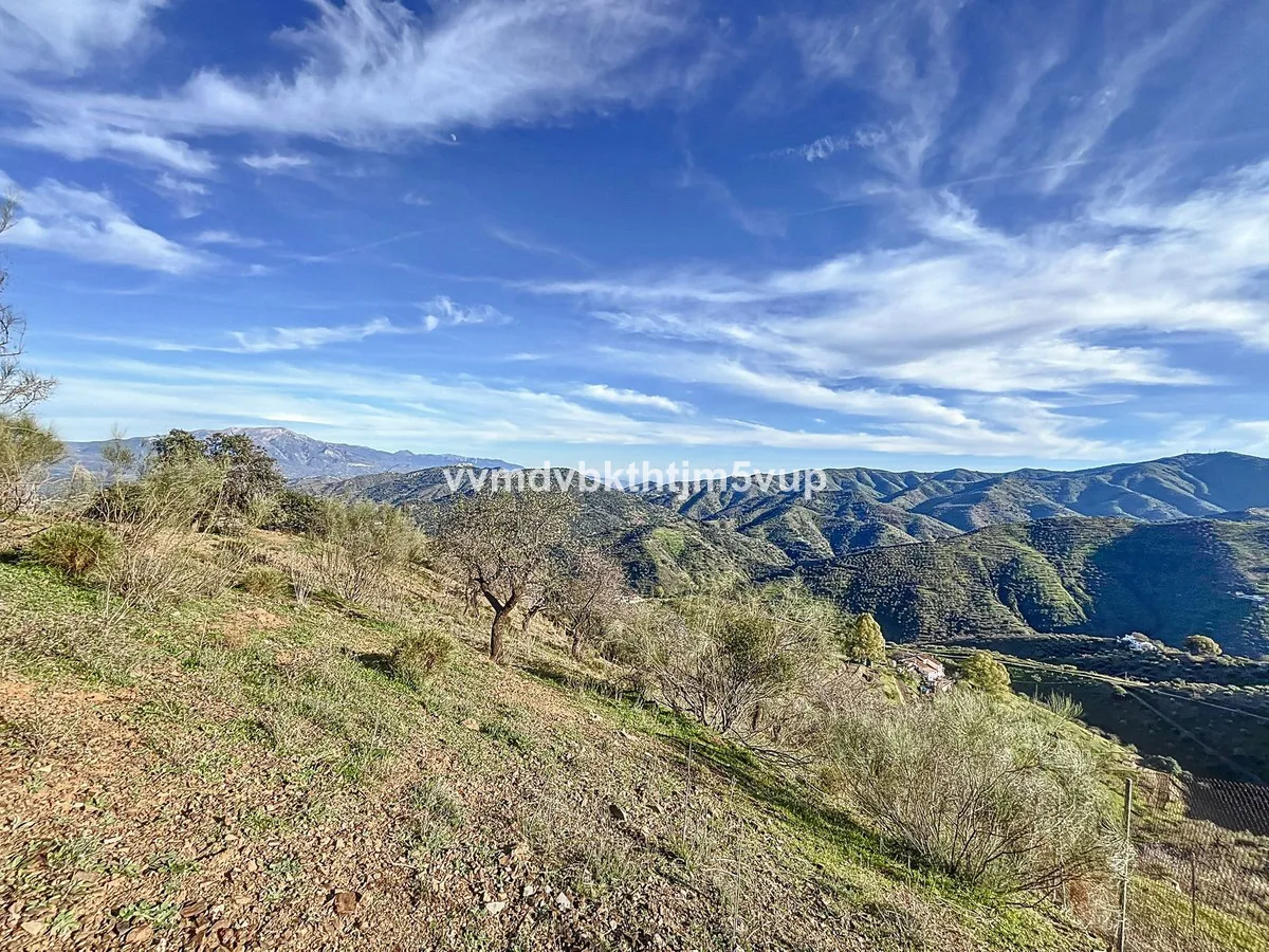 4d981d88-1c29-4e58-bff2-994ef0e0a9a0