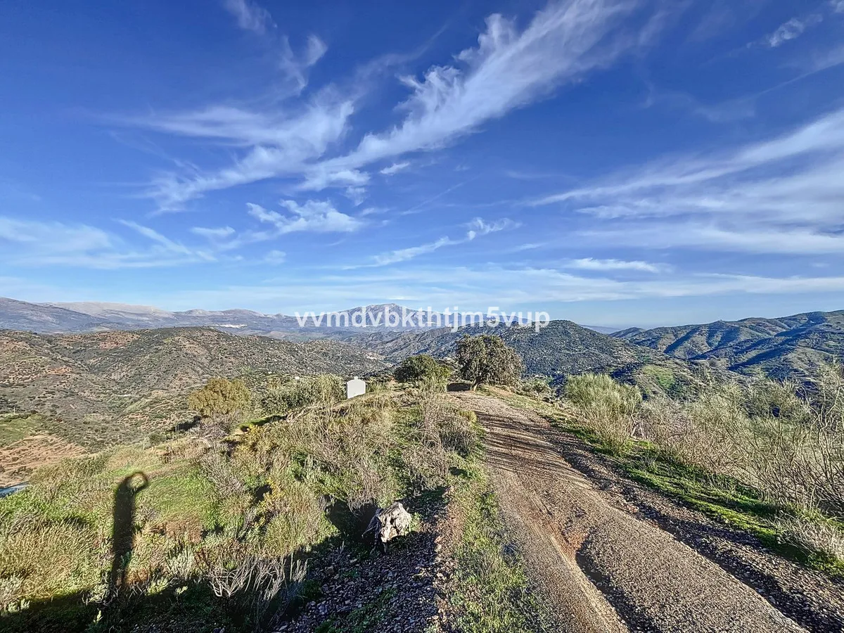 674e82cc-0a8d-41a7-a1a8-e7991facc5d8