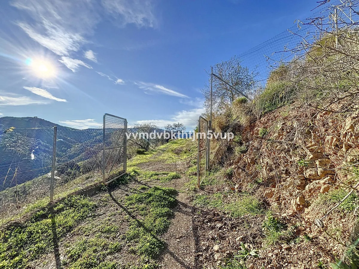 8e1bf793-42ac-45af-95a7-b30d3e105113