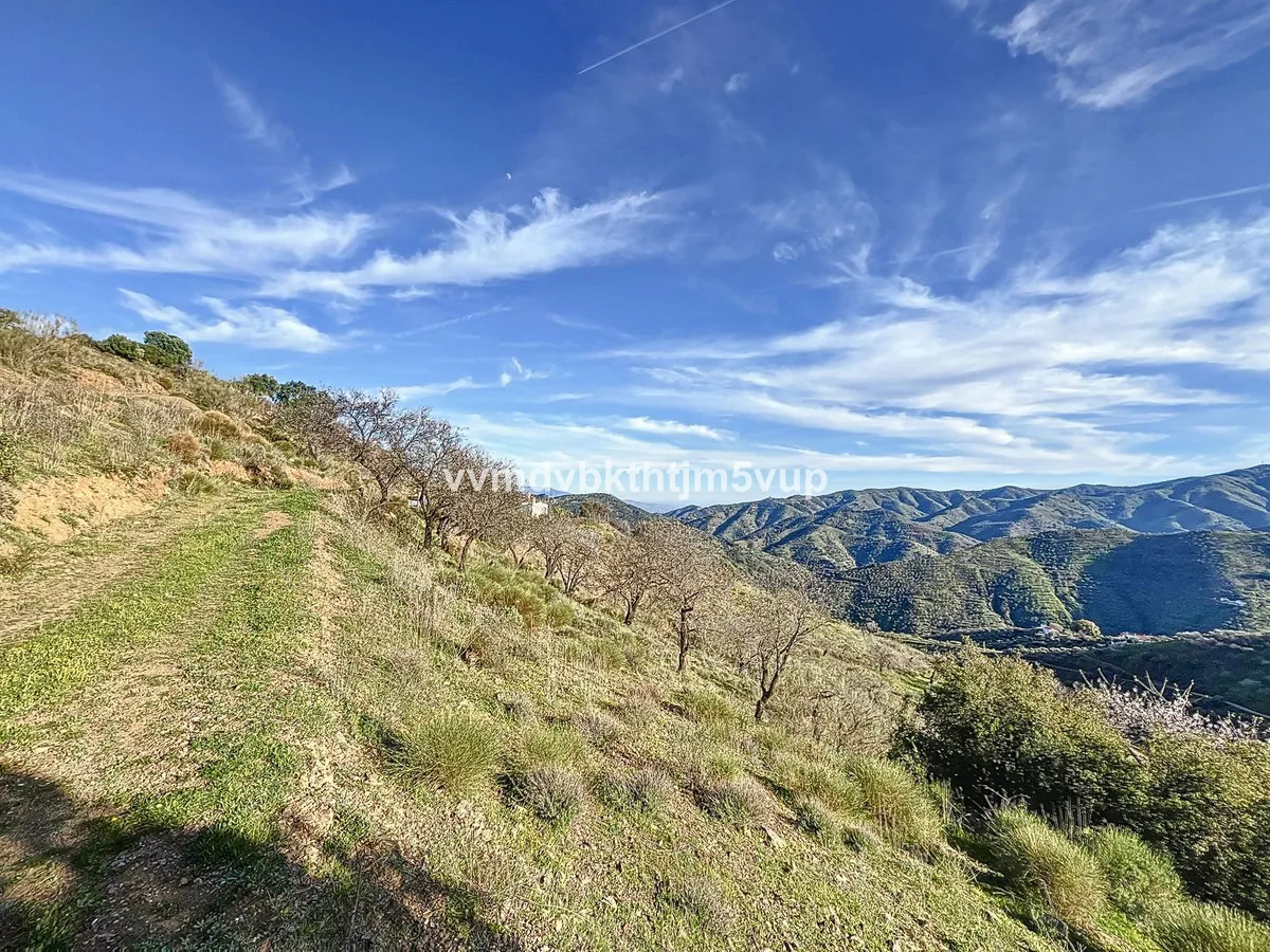 923fa32a-a924-4c7c-9b08-e08c0b891368