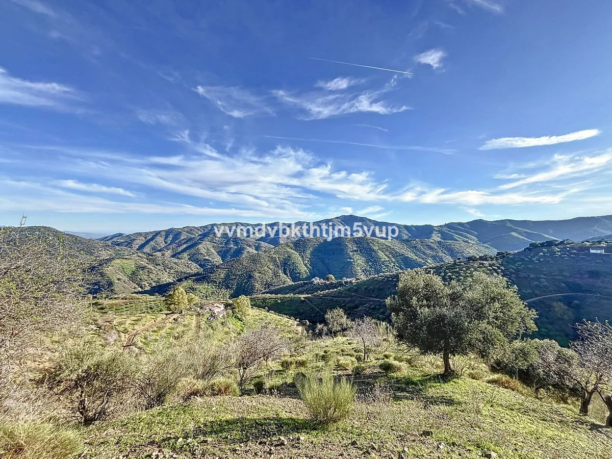 b2e25f5f-47e2-4c2a-9916-46a1b04a20e6