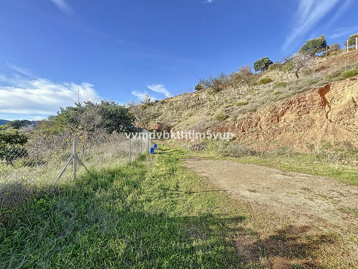 e3c3aad5-174c-4d62-b9a1-7e5baff8861f