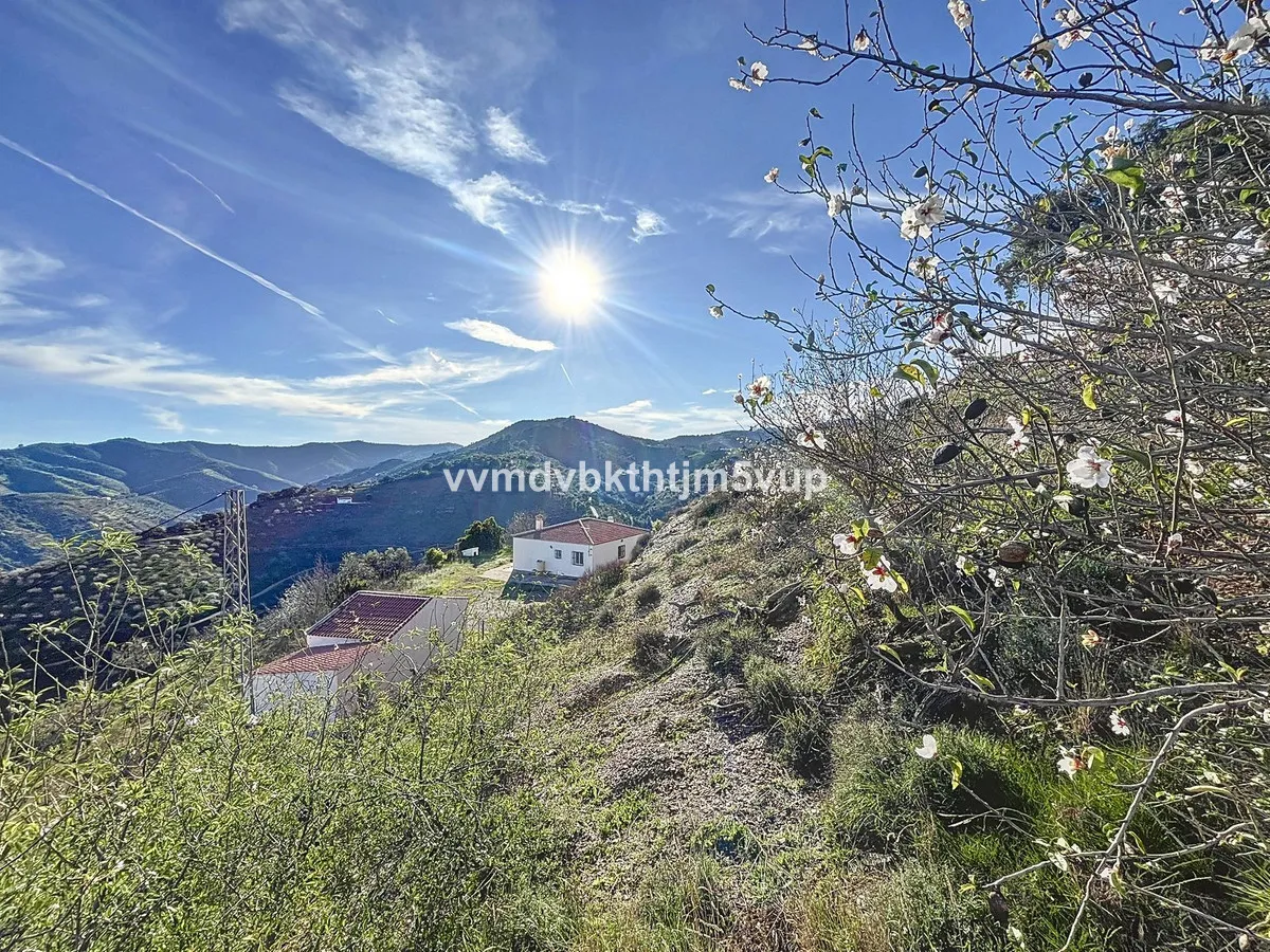 ed317f37-c0b2-40d2-b284-1e4d7e1e3269