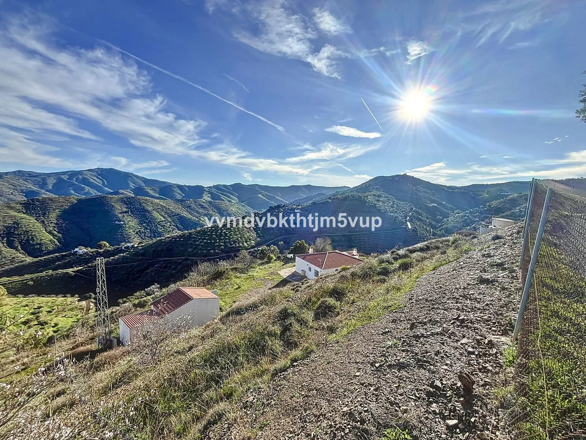 eebca414-71c7-4f95-a877-32343c115254