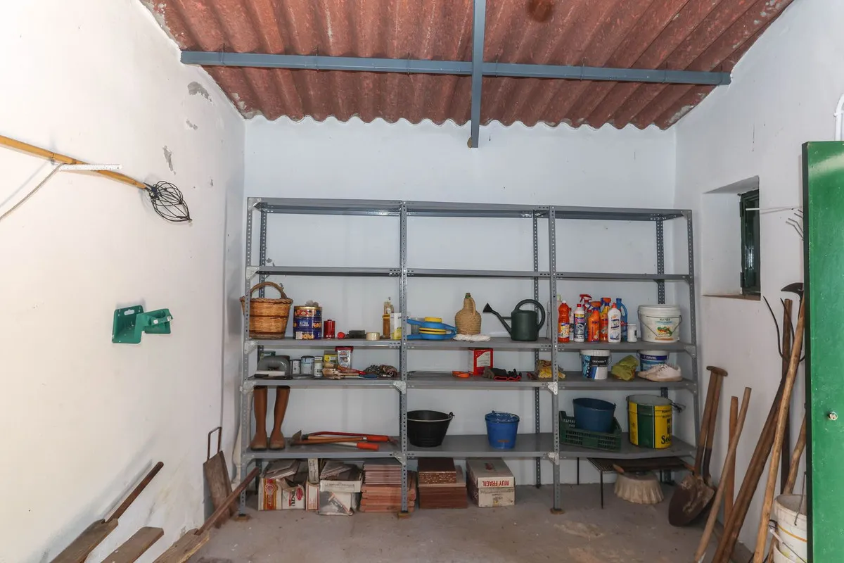 cd202379-3c56-4a13-9348-0b1223366149