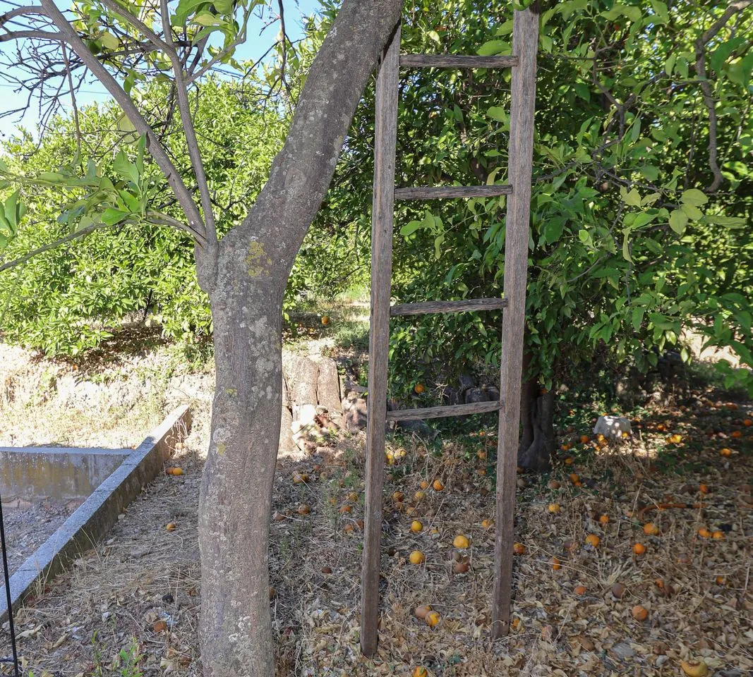 e34ed2d0-3cd4-4277-be3d-ad1dd2316ac4