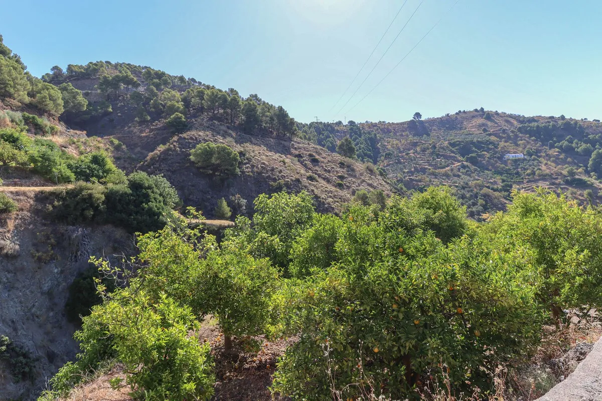 fc3092ac-f317-4360-bed4-12ca3da4d8a6