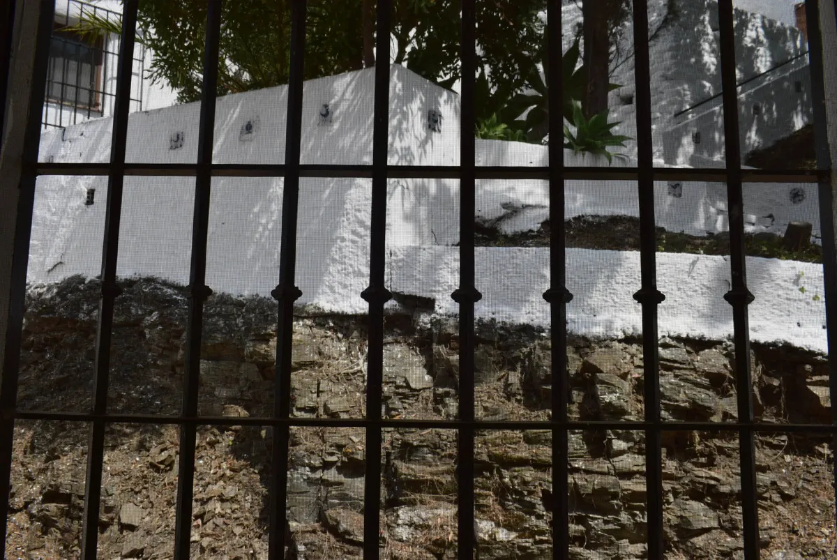 e175434a-2247-4310-bff4-bf62674f1f6c