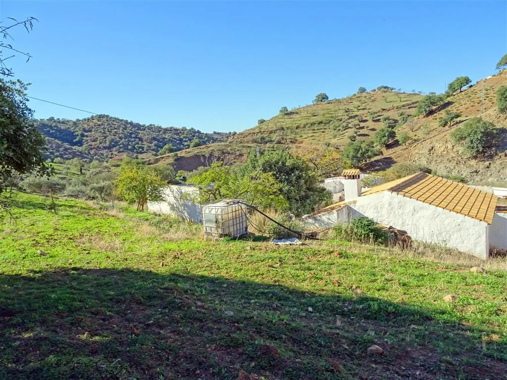 e53660f5-2c7c-40f7-b961-22082598b55e