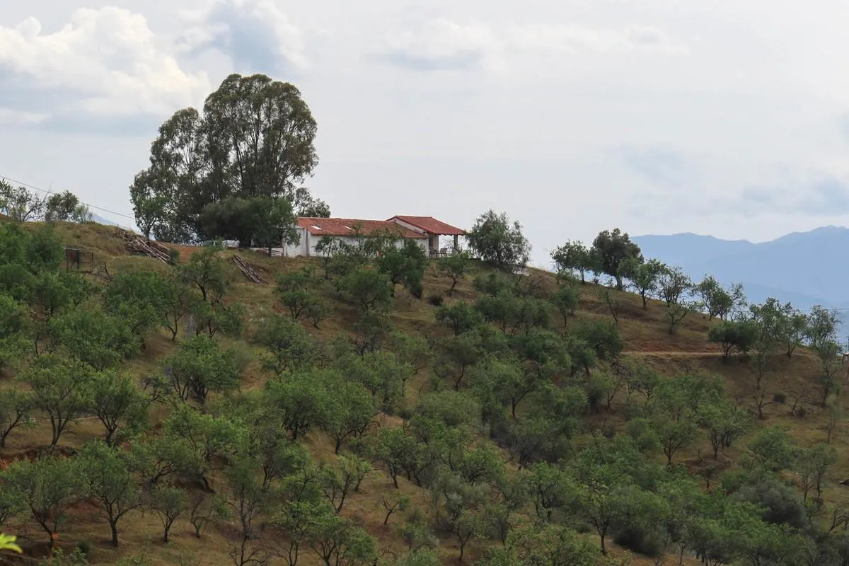 4b4e7d17-33c6-4c5d-8ff7-0278046527df