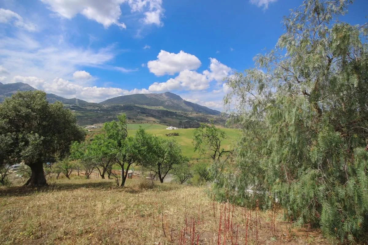 9ca01add-6223-49f4-af29-3eaca99988ad