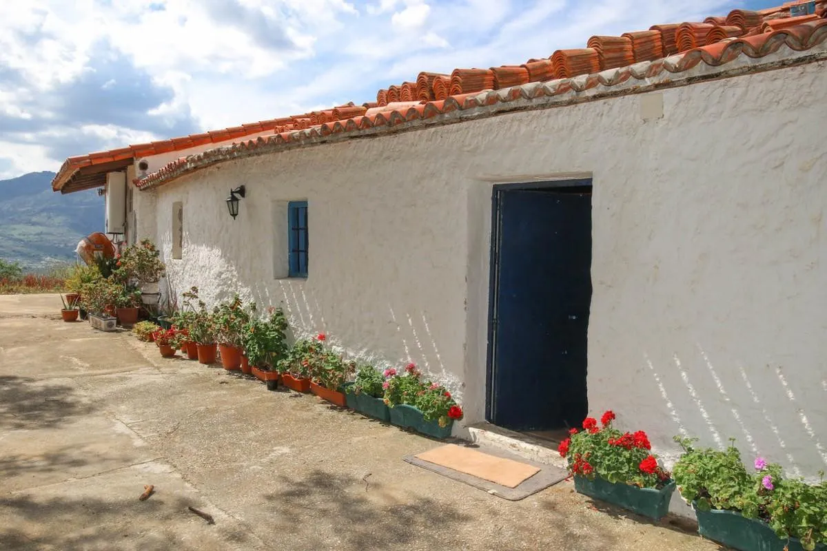 c93e323f-c54e-4473-bf19-7b9a9210d9ad