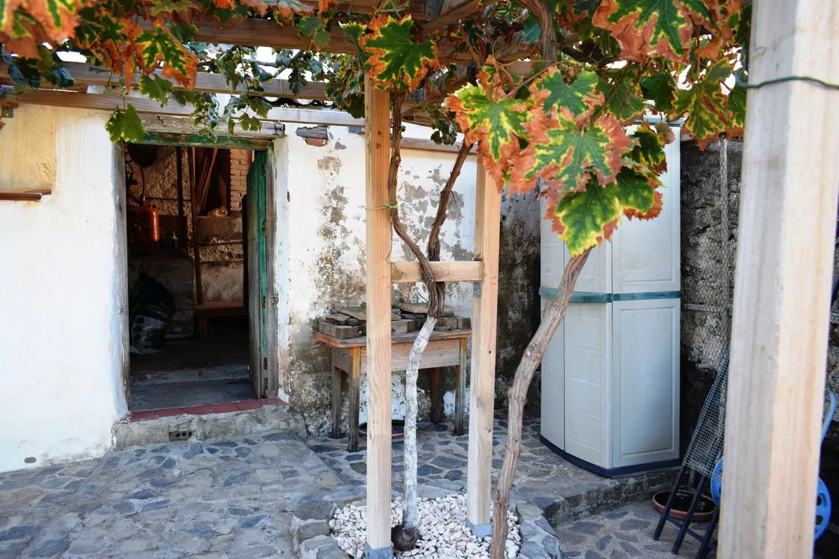 a1522909-1a86-4685-83d8-f7179541fc76