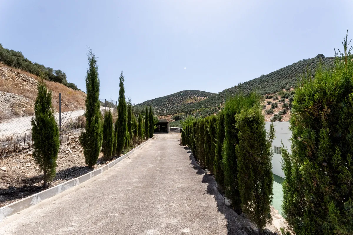 93b11f7d-035b-466a-a3e5-fbc4fd9f9332