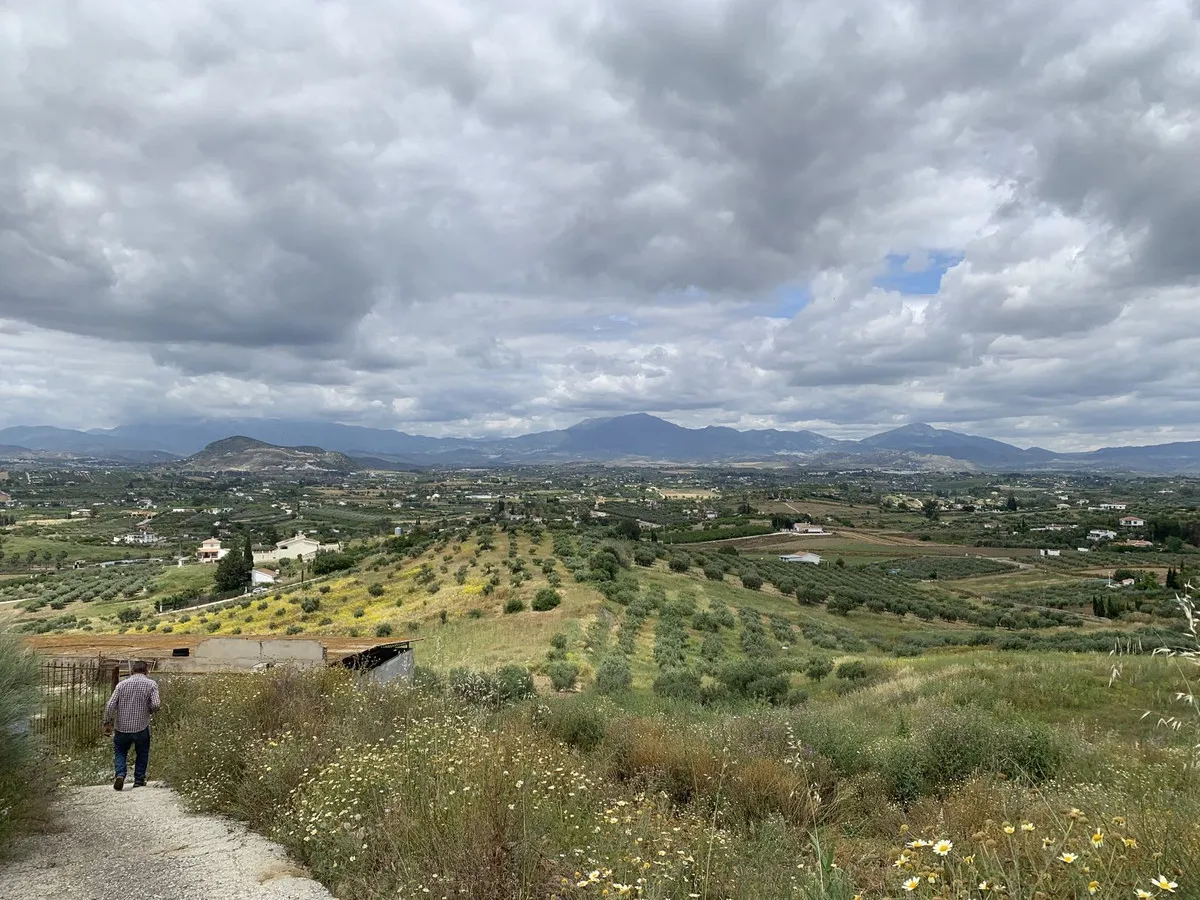 084b83a1-ebd1-48c3-9665-fb38936b25ef