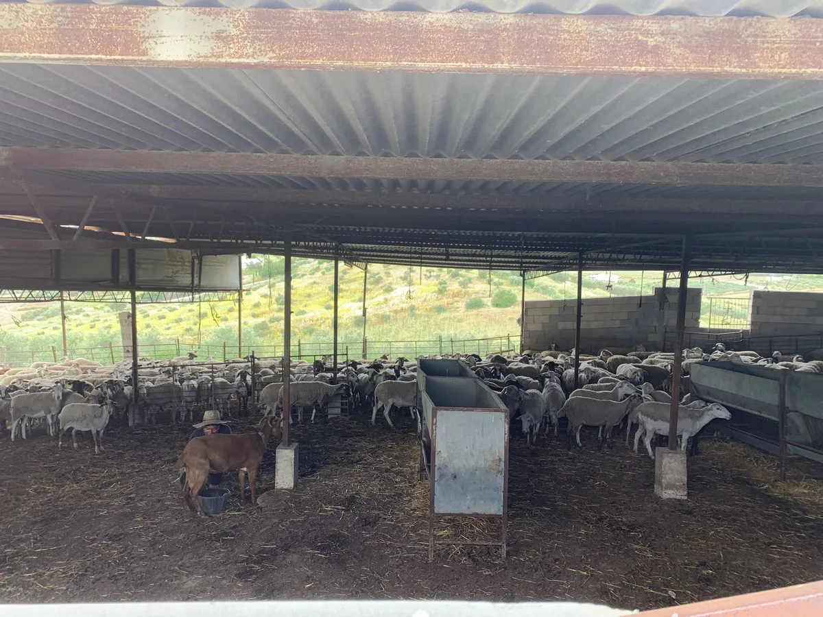 56cdaa38-8c2f-4a4c-81a2-97a65d70d40a