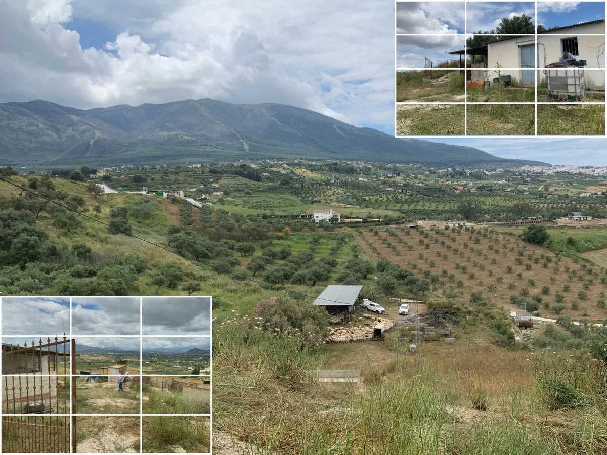 72270800-0e07-4a35-ba13-d06cda97b96c