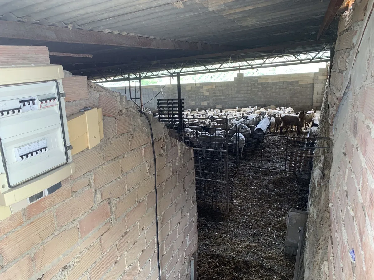 74dc2455-e1c7-456e-bf87-d43f4f409664