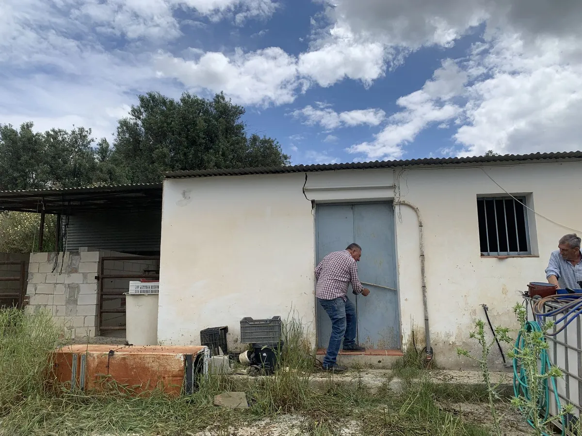 7ae61f6c-de0e-4deb-8ecb-d0455b417a53