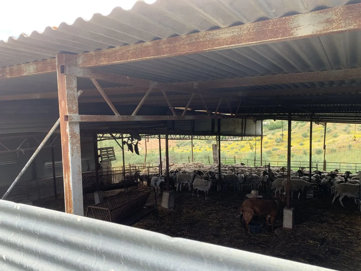 b88882cf-2f03-4674-9f45-92d856727635